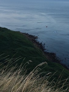 Photograph courtesy of Staithes Coastguard